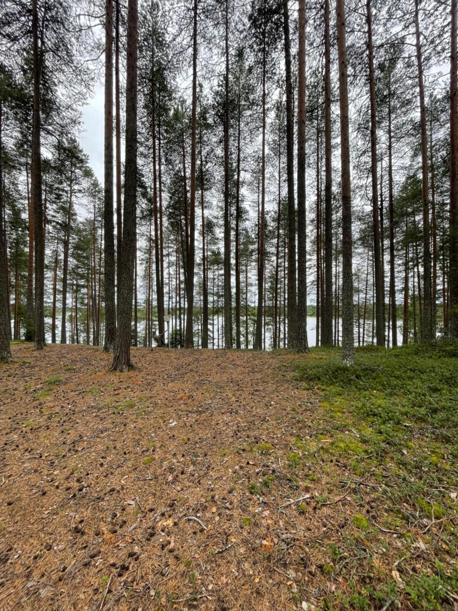 Laahtanen Camping Hotel Ristijärvi Kültér fotó