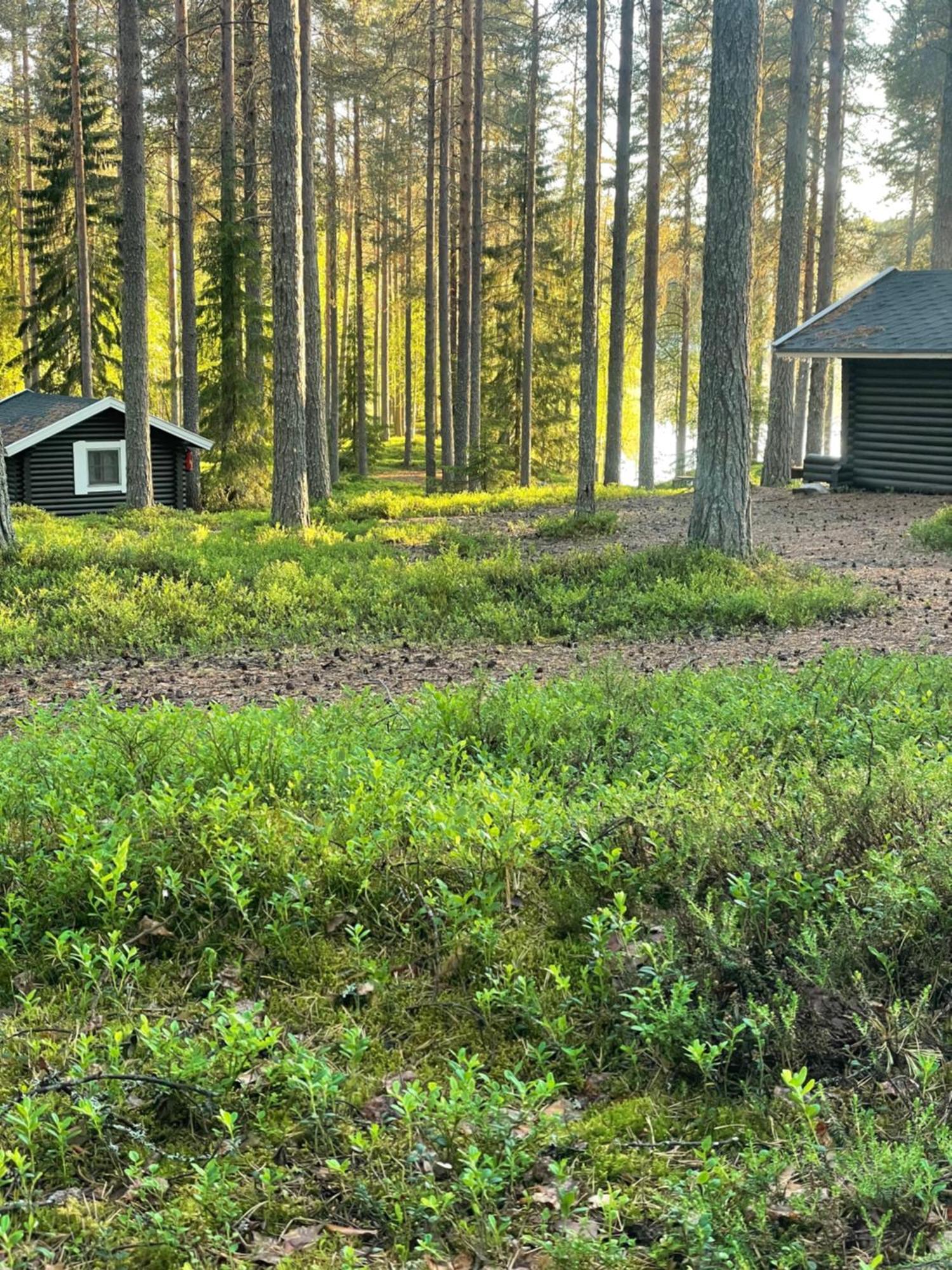 Laahtanen Camping Ristijärvi Kültér fotó
