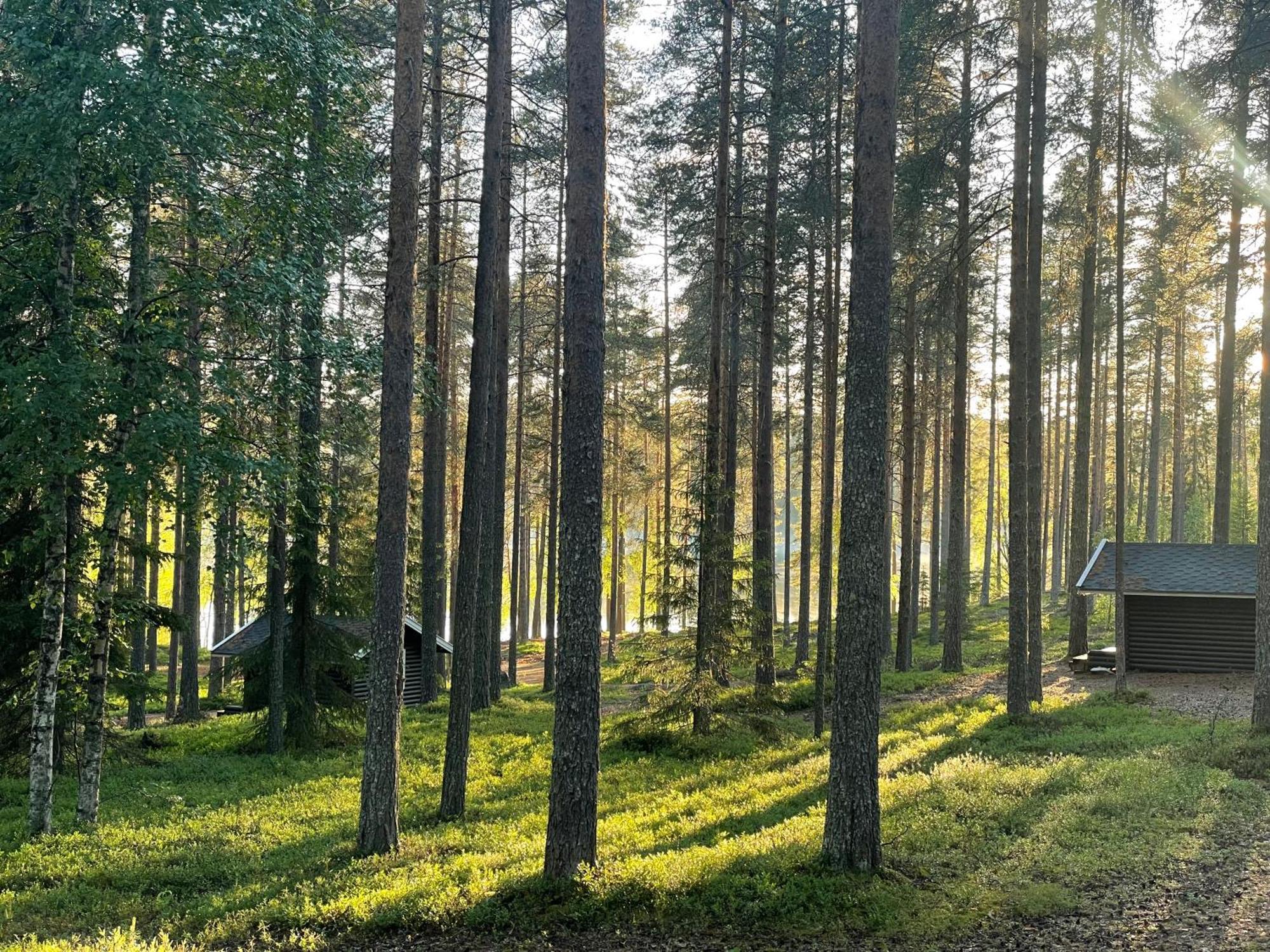 Laahtanen Camping Hotel Ristijärvi Kültér fotó